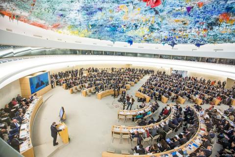United Nations Geneva Immersion Programme - Basic Package - May Edition 2025